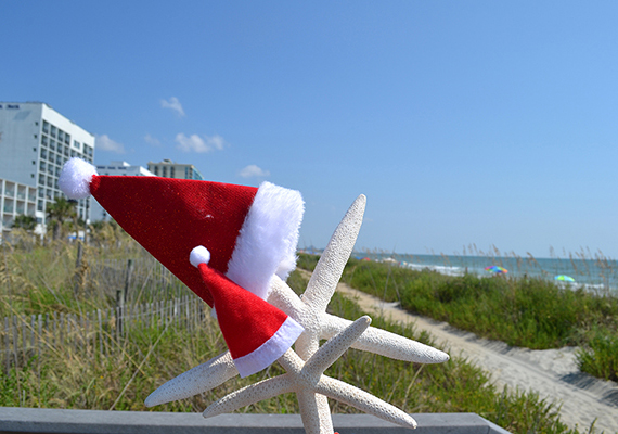 Beach Assortment Package