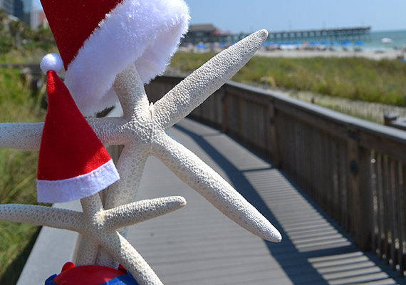 Beach Assortment Package
