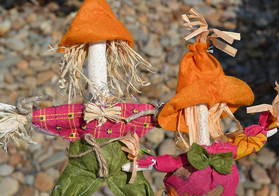 Beach Assortment Package