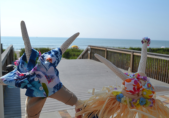 Beach Assortment Package