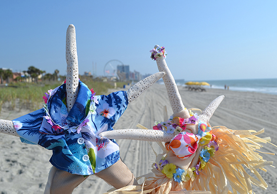 Beach Assortment Package