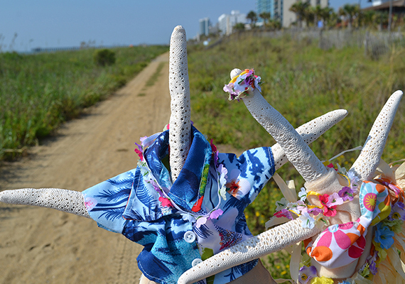 Beach Assortment Package
