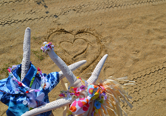 Beach Assortment Package