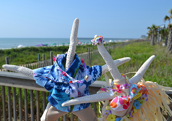 Beach Assortment Package