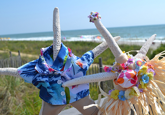 Beach Assortment Package