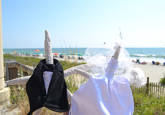 Beach Assortment Package