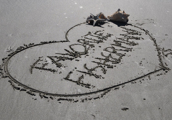 Sandy Special Package