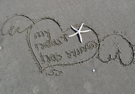 Sandy Special Package