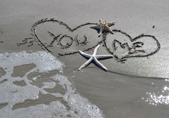 Beach Assortment Package